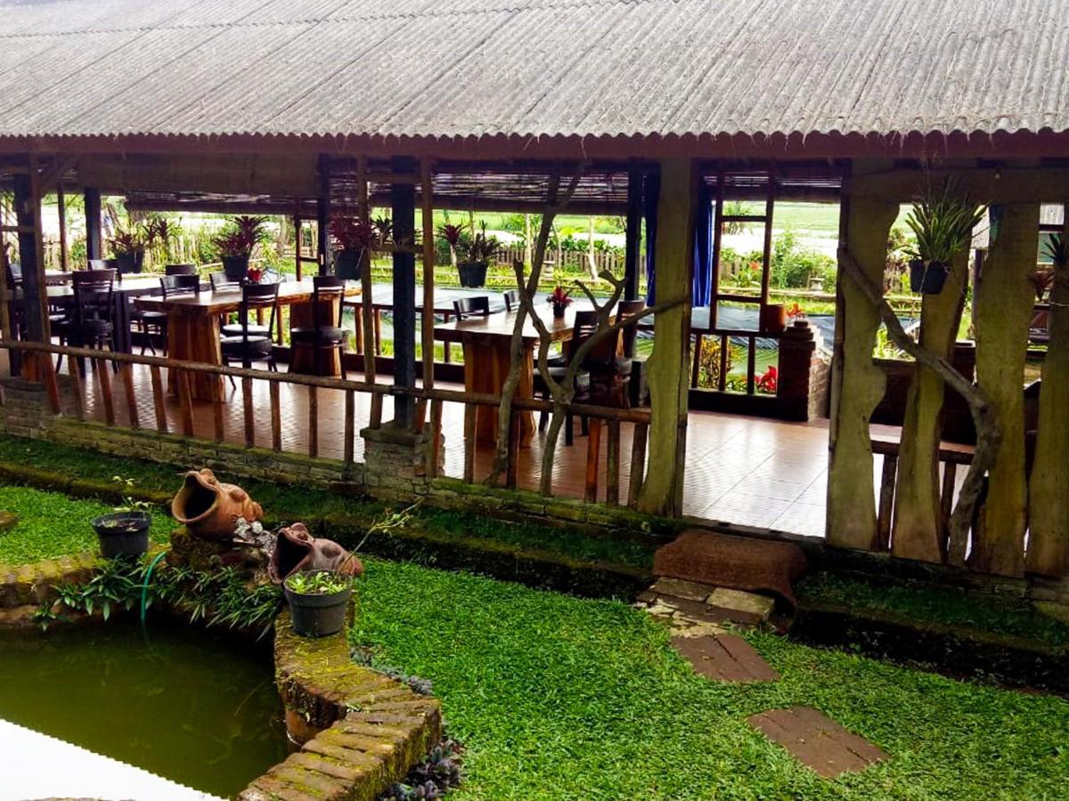 Oak Tree Bali Hotel Bedugul  Luaran gambar