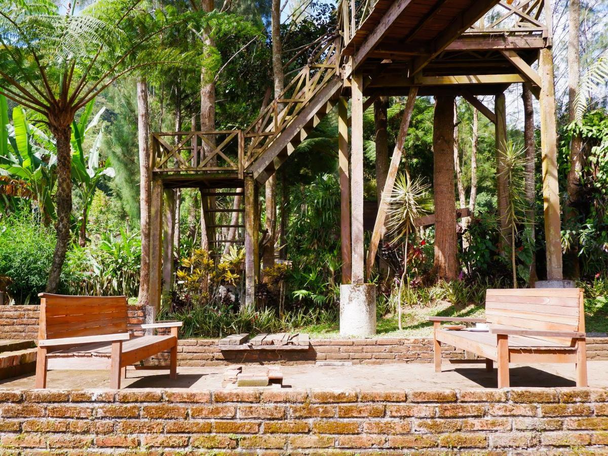 Oak Tree Bali Hotel Bedugul  Luaran gambar